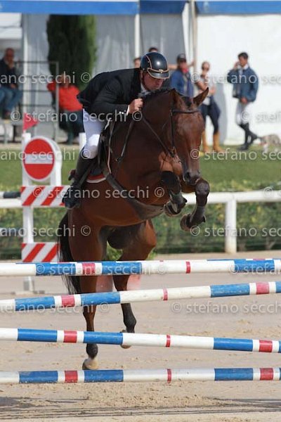 FALZINI_REMBRANDO_GIO CAV 2011_SS3_0622.jpg